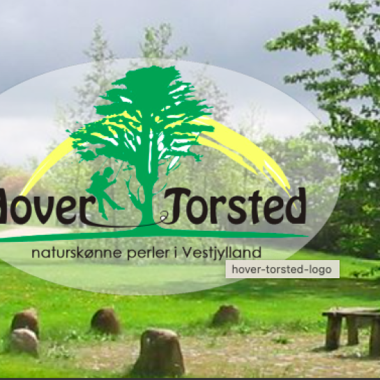 Hover Torsted