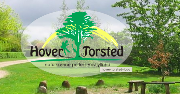 Hover Torsted